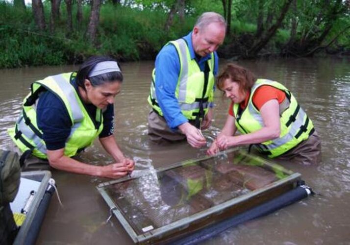 Scientists Check Midwestern Waters For Effects Of Ag Runoff